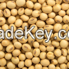best  quality grade yellow soybeans grains
