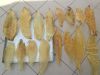 HIGH QUALITY DRIED FISH MAW / DRY SWIM BLADDER OF FISH BEST PRICE