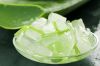 FROZEN ALOE VERA FROM VIETNAM WITH HIGH QUALITY AND BEST PRICE