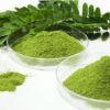 Natural Moringa Leaf Powder with ISO Certificate