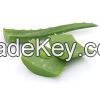 Aloe Vera Liquid and Powder