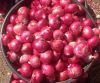Grade AA+ Top Quality Red Onion Available