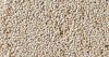 99% Natural White Sesame Seed at Wholesale Price