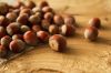 Hazelnuts in shell, nuts in shell, organic nuts