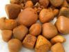 Dried Natural Ox/Cow Gallstone