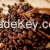 Organic Cocoa Beans