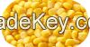 340g Canned Sweet Corn Kernels