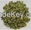 Grade AA Shine Skin Pumpkin Seeds for Sale