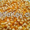 Premium quality air dried vegetables yellow corn for sale