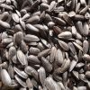 High quality sunflower seeds for edible