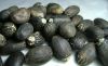 High Quality Crude Jatropha Seeds and Jatropha Oil