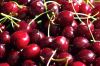 Sweet A grade fresh cherries