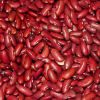 red kidney beans Organic