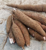 Fresh Cassava