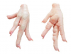 Cheap quality Frozen Chicken Feet & Paws for sale