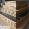 ACEALL Plywood, Leading Global Sales