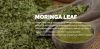 Organic Certified Moringa Leaf Powder From Indonesia - High Nutrition Content Heavy Metal Free