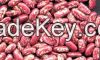 2018 New Crop Red Speckled Kidney Beans for sale