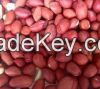 Raw Peanuts, Red skin Peanuts, Bold Peanuts, 50/60, Ground Nut from Asia