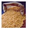 Organic Soybean , Soya Bean