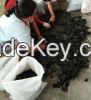 Mangrove Charcoal