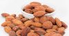 Best Price food grade Organic Apricot Kernel Agriculture Nuts