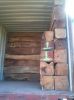 Timber, Round Logs Timber, Kosso / Rose Wood, Mahogany, Gmelina, Mouabi, Plywood