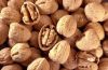 Factory Wholesale high quality Light color walnut kernels light halves