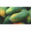 Wholesale Fresh Papaya / Papaya Fruit Price / Fresh Papaya Fruit