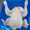 Whole Frozen Chicken , Halal Whole Frozen Chicken