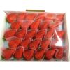 Best Selling Food Grade Fresh Fruit Product Strawberry with Good Price