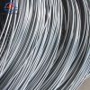 Hot Rolled Steel Wire Rod In Coils 5.5mm 6.5mm Low Carbon Steel MS Wire Rods Price