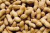 Groundnuts (Pea)