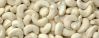 Quality Cashew Nuts And Kernel In Bulk