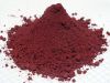 Dehydrated Tomato Powder