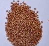 Food Grade Red Sorghum