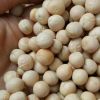 best quality Pigeon peas