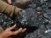 Coal Sumatera and Kalimantan