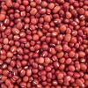 Red And White Sorghum For Sale / Sorghum Flour White / Sorghum grains