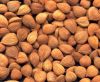 Raw and Dried Apricot Kernels