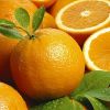 Fresh Navel Oranges