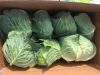 Fresh Cabbages