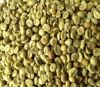 Best Grade Arabica Coffee Beans