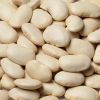 BIG WHITE KIDNEY BEAN/ LARGE WHITE KIDNEY BEAN/ LIMA BEAN