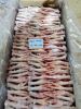 Fully Processed Frozen Chicken Feet A Grade