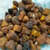 BUY GRADE A++ OX GALLSTONES whatsapp +12014734901