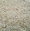 Sudan Natural White sesame seeds