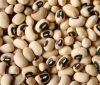 High quality white cowpea hot sale