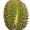 Good Fresh Durian