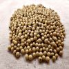 Dried Farm Soybeans